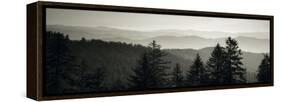 Panoramic View of Trees, Great Smoky Mountains National Park, North Carolina, USA-null-Framed Stretched Canvas