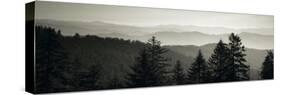 Panoramic View of Trees, Great Smoky Mountains National Park, North Carolina, USA-null-Stretched Canvas