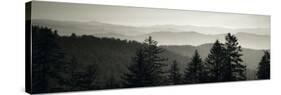 Panoramic View of Trees, Great Smoky Mountains National Park, North Carolina, USA-null-Stretched Canvas