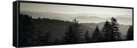 Panoramic View of Trees, Great Smoky Mountains National Park, North Carolina, USA-null-Framed Stretched Canvas