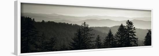 Panoramic View of Trees, Great Smoky Mountains National Park, North Carolina, USA-null-Framed Photographic Print