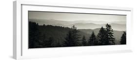 Panoramic View of Trees, Great Smoky Mountains National Park, North Carolina, USA-null-Framed Photographic Print