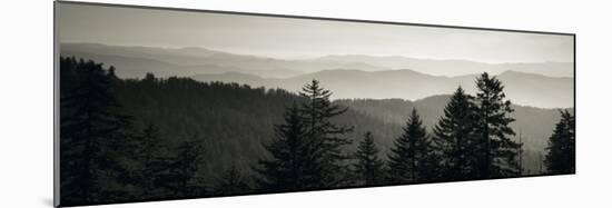 Panoramic View of Trees, Great Smoky Mountains National Park, North Carolina, USA-null-Mounted Photographic Print