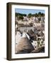 Panoramic view of trulli houses, UNESCO World Heritage Site, Alberobello, Puglia region, Italy-Karen Deakin-Framed Photographic Print