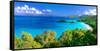 Panoramic View of Trunk Bay, St. John, USVI-George Oze-Framed Stretched Canvas