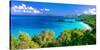Panoramic View of Trunk Bay, St. John, USVI-George Oze-Stretched Canvas