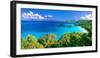 Panoramic View of Trunk Bay, St. John, USVI-George Oze-Framed Photographic Print