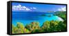 Panoramic View of Trunk Bay, St. John, USVI-George Oze-Framed Stretched Canvas