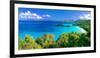 Panoramic View of Trunk Bay, St. John, USVI-George Oze-Framed Photographic Print