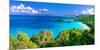 Panoramic View of Trunk Bay, St. John, USVI-George Oze-Mounted Photographic Print