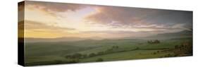Panoramic View of Val d'Orcia at Dawn, in Spring, Near San Quirico d'Orcia, Tuscany, Italy, Europe-Lee Frost-Stretched Canvas