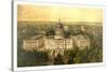 Panoramic View of Washington City from the New Dome of the Capitol-null-Stretched Canvas