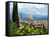 Panoramic View Out over Florence from the Bardini Garden, the Bardini Garden, Florence-Nico Tondini-Framed Stretched Canvas