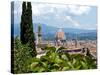 Panoramic View Out over Florence from the Bardini Garden, the Bardini Garden, Florence-Nico Tondini-Stretched Canvas