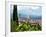 Panoramic View Out over Florence from the Bardini Garden, the Bardini Garden, Florence-Nico Tondini-Framed Photographic Print