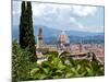 Panoramic View Out over Florence from the Bardini Garden, the Bardini Garden, Florence-Nico Tondini-Mounted Photographic Print