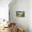 Panoramic View over Beach with Durdle Door Landmark in Dorset Jurassic Coast, Uk-Marcin Jucha-Photographic Print displayed on a wall