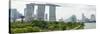 Panoramic View Overlooking the Gardens by the Bay, Marina Bay Sands and City Skyline, Singapore-Fraser Hall-Stretched Canvas