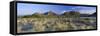 Panoramic View, Spitzkoppe, Namibia, Africa-Lee Frost-Framed Stretched Canvas