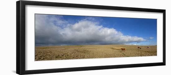 Panoramic View, the Epynt, Cambrian Mountains, Powys, Wales, United Kingdom, Europe-Graham Lawrence-Framed Photographic Print