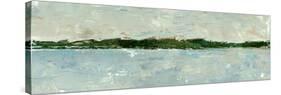 Panoramic Vista II-Ethan Harper-Stretched Canvas