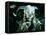 Pans Labyrinth-null-Framed Stretched Canvas