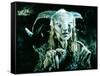 Pans Labyrinth-null-Framed Stretched Canvas