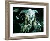 Pans Labyrinth-null-Framed Photo