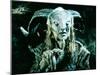 Pans Labyrinth-null-Mounted Photo