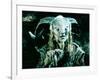 Pans Labyrinth-null-Framed Photo