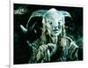 Pans Labyrinth-null-Framed Photo