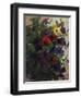 Pansey Study II-Tim O'toole-Framed Giclee Print