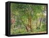 Panshanger Park-Spencer Frederick Gore-Framed Stretched Canvas