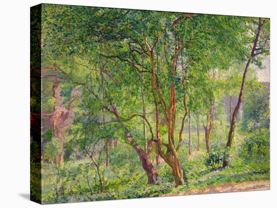 Panshanger Park-Spencer Frederick Gore-Stretched Canvas