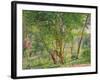 Panshanger Park-Spencer Frederick Gore-Framed Giclee Print