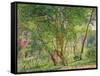 Panshanger Park-Spencer Frederick Gore-Framed Stretched Canvas