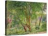 Panshanger Park-Spencer Frederick Gore-Stretched Canvas
