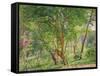 Panshanger Park-Spencer Frederick Gore-Framed Stretched Canvas