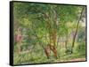 Panshanger Park-Spencer Frederick Gore-Framed Stretched Canvas