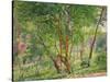 Panshanger Park-Spencer Frederick Gore-Stretched Canvas