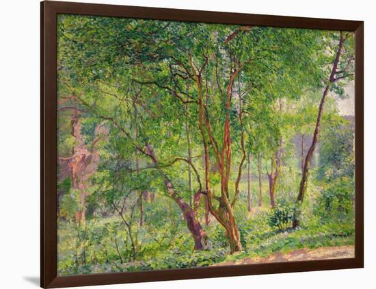 Panshanger Park-Spencer Frederick Gore-Framed Giclee Print