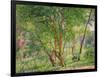 Panshanger Park-Spencer Frederick Gore-Framed Giclee Print