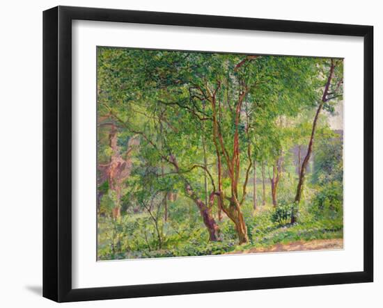 Panshanger Park-Spencer Frederick Gore-Framed Giclee Print