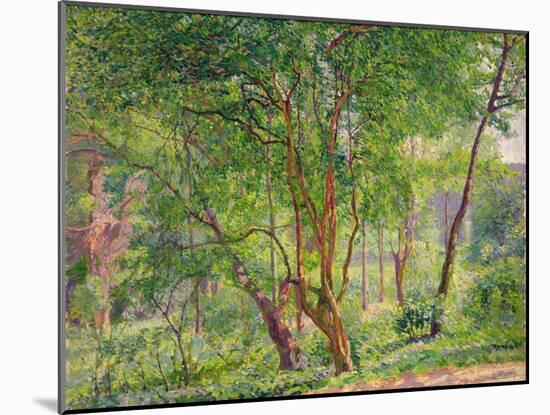 Panshanger Park-Spencer Frederick Gore-Mounted Giclee Print