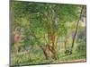 Panshanger Park-Spencer Frederick Gore-Mounted Giclee Print