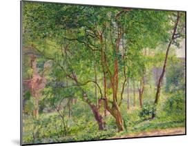 Panshanger Park-Spencer Frederick Gore-Mounted Giclee Print