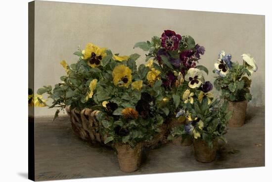 Pansies, 1874-Henri Fantin-Latour-Stretched Canvas