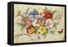 Pansies and Butterflies-Jean Plout-Framed Stretched Canvas