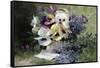 Pansies and Forget Me Not-Albert Tibulle de Furcy Lavault-Framed Stretched Canvas