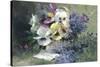 Pansies and Forget-Me-Not-Albert Tibulle de Furcy Lavault-Stretched Canvas